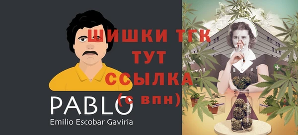 дживик Костерёво