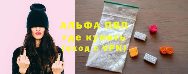 дживик Костерёво