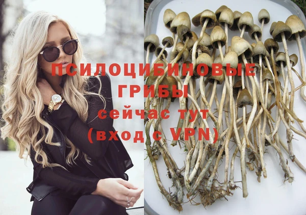 мет Коряжма