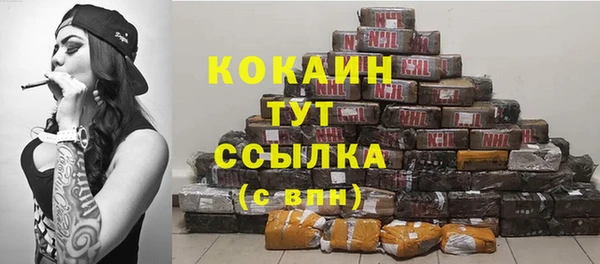 дживик Костерёво